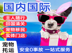 梧州西江机场快递国际宠物托运 【国